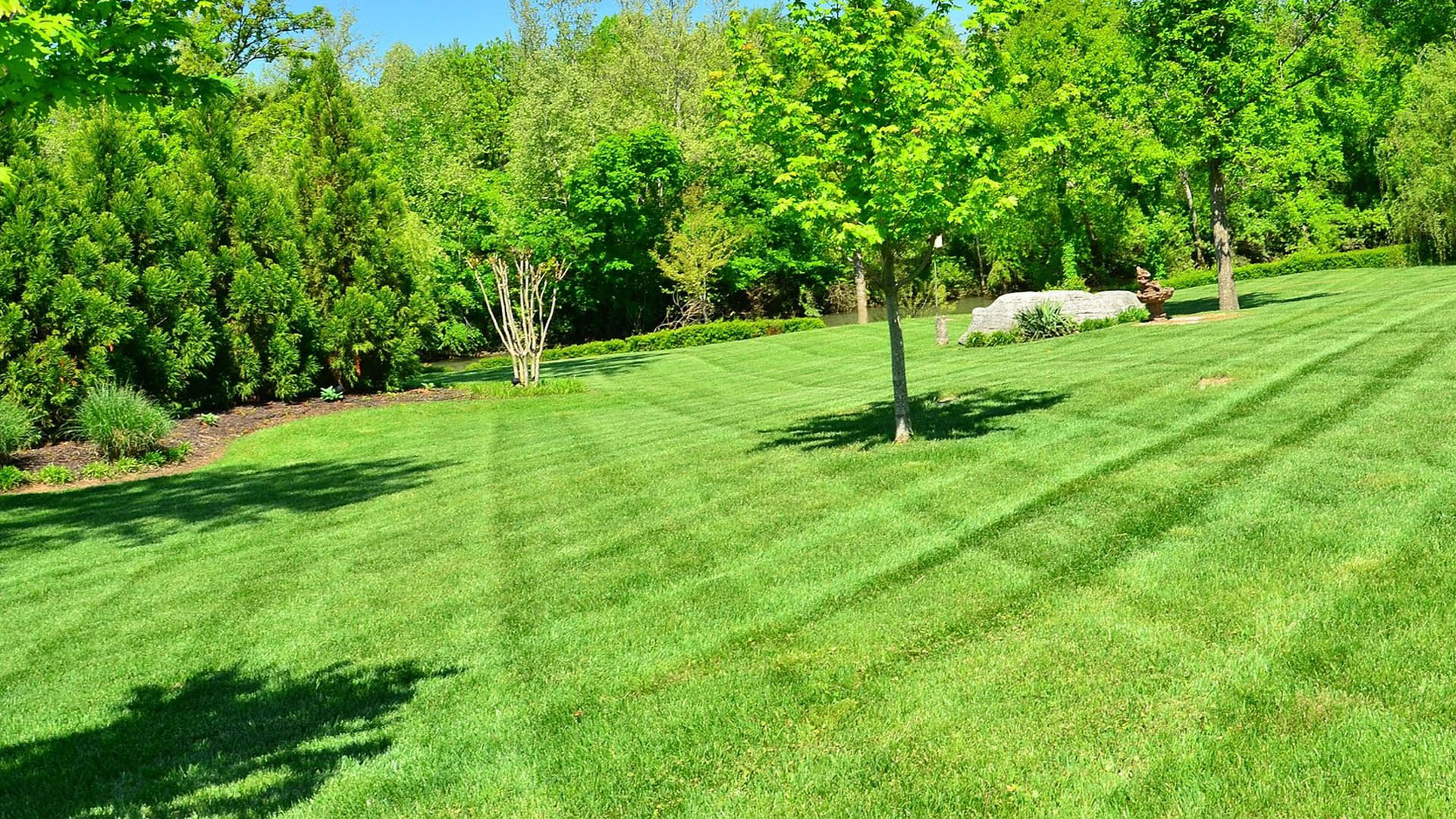 Lawn mowed with striping in Lexington, KY.