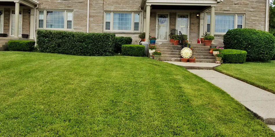 Residential lawn maintained by Allen's Lawn Service in Lexington, KY.