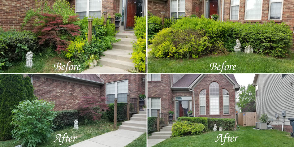 Another before and after shot of a yard clean up in Allen's Lawn Service.